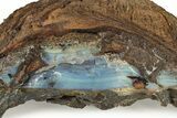Blue Boulder Opal Specimen - Queensland, Australia #227092-1